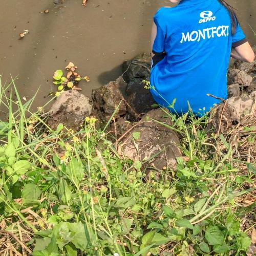 สมาชิกหมายเลข 5258429