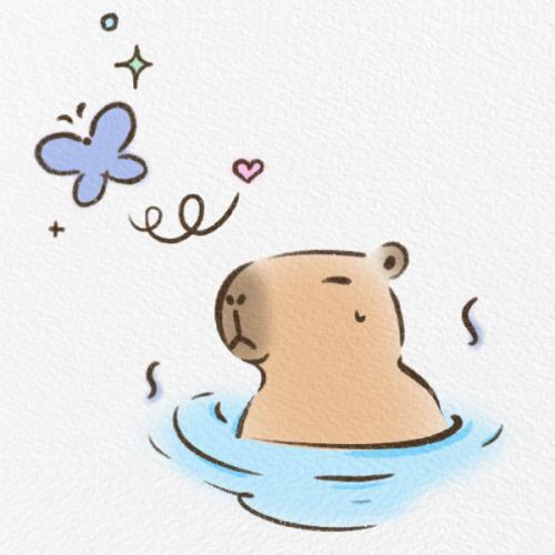 สมาชิกหมายเลข 1584991