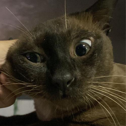 สมาชิกหมายเลข 7544967