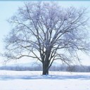 สมาชิกหมายเลข 3631325