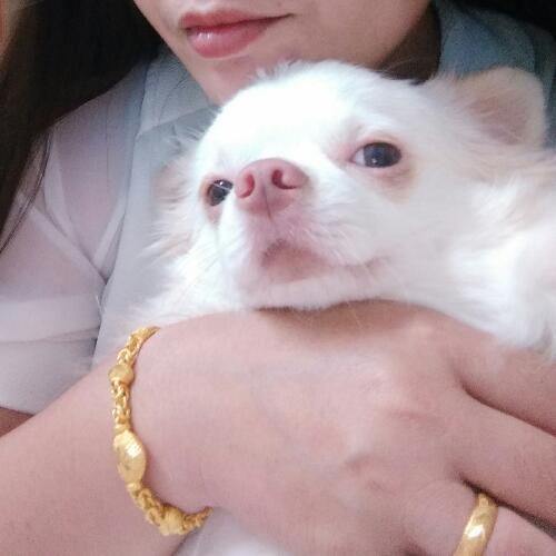 สมาชิกหมายเลข 4865853