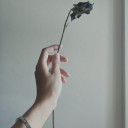 สมาชิกหมายเลข 3521524