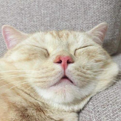 สมาชิกหมายเลข 3846389