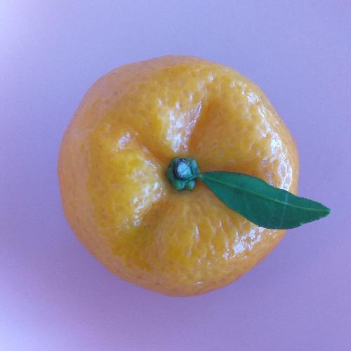 สมาชิกหมายเลข 5258866