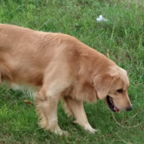 สมาชิกหมายเลข 2682676