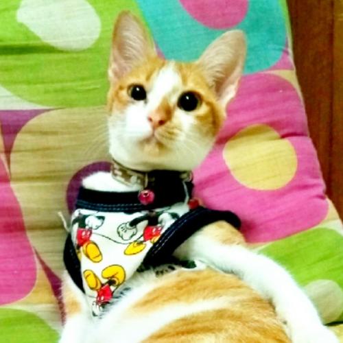 สมาชิกหมายเลข 3000937