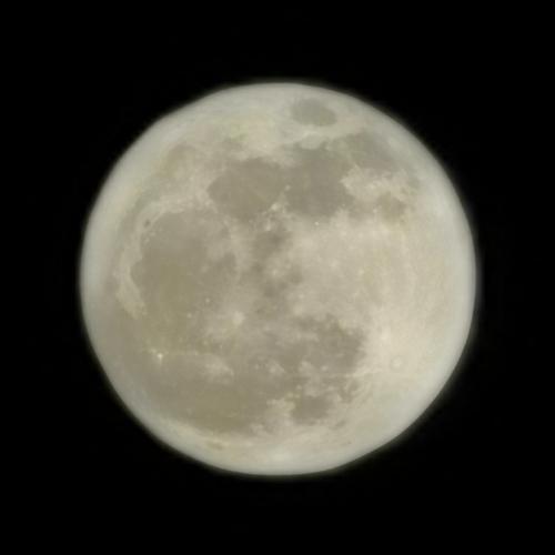 สมาชิกหมายเลข 4576412