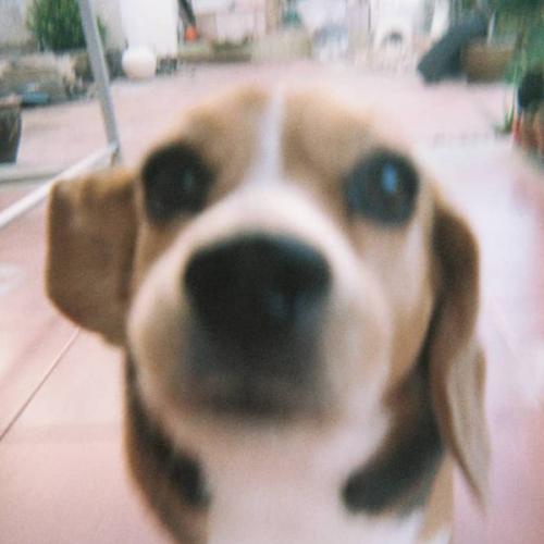 สมาชิกหมายเลข 2030443