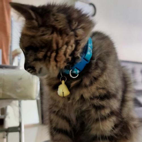 สมาชิกหมายเลข 4261487