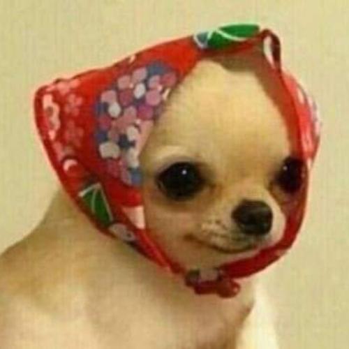 สมาชิกหมายเลข 6278994