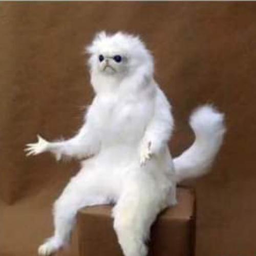 สมาชิกหมายเลข 6279031