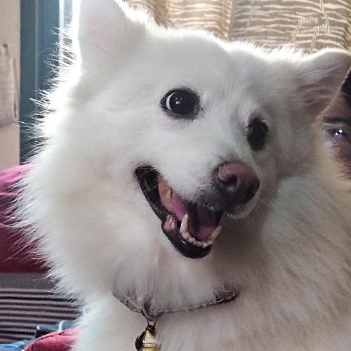 สมาชิกหมายเลข 3743729