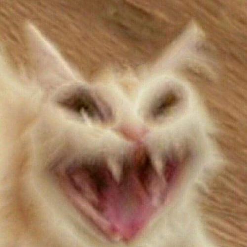 สมาชิกหมายเลข 6942317