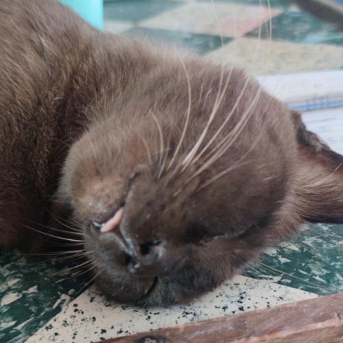 สมาชิกหมายเลข 5419724