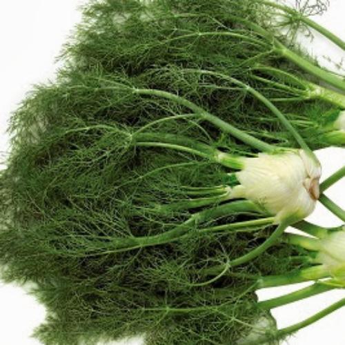 สมาชิกหมายเลข 7705935