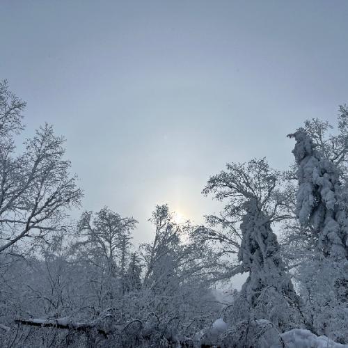 สมาชิกหมายเลข 6373768