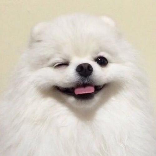 สมาชิกหมายเลข 4529713