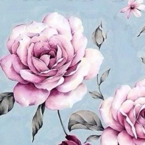 สมาชิกหมายเลข 3406143