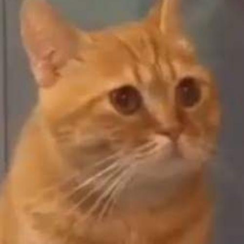 สมาชิกหมายเลข 5259300