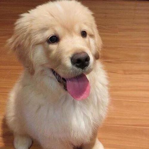 สมาชิกหมายเลข 5695215