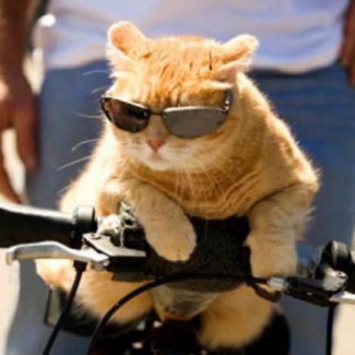 สมาชิกหมายเลข 6927202