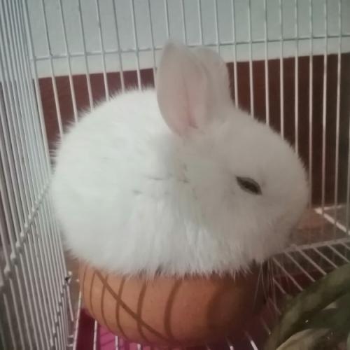 สมาชิกหมายเลข 6942794