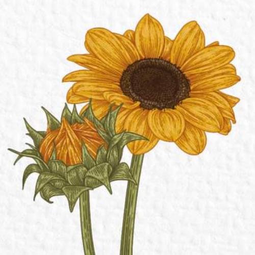 สมาชิกหมายเลข 7706959