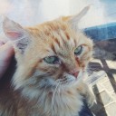 who moved my chocolate