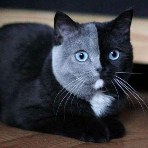 สมาชิกหมายเลข 1485993