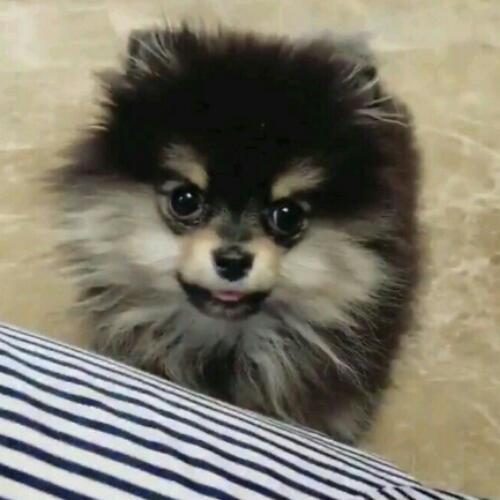 สมาชิกหมายเลข 5259567