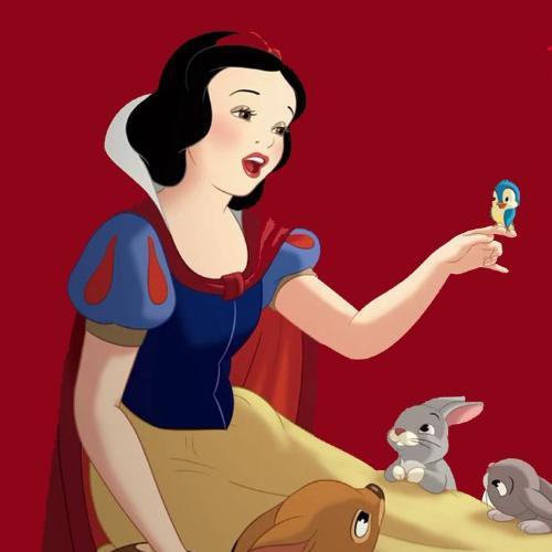 สมาชิกหมายเลข 5695699