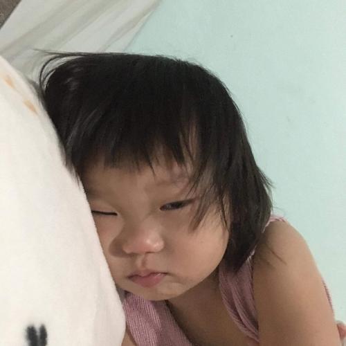 สมาชิกหมายเลข 6280319