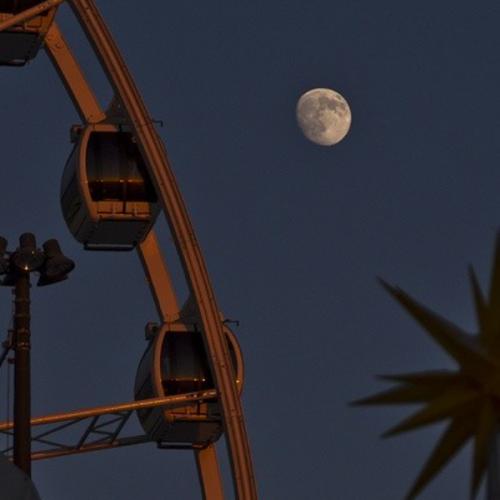 สมาชิกหมายเลข 6280535