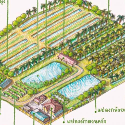 สมาชิกหมายเลข 6943638