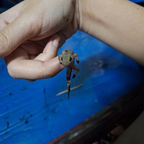 สมาชิกหมายเลข 6139817