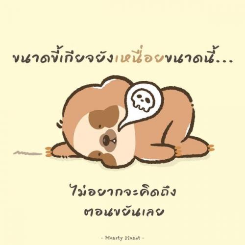 สมาชิกหมายเลข 7767407