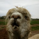 สมาชิกหมายเลข 3002724