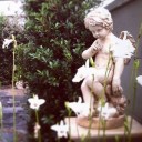 สมาชิกหมายเลข 3389662