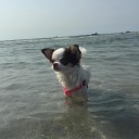 สมาชิกหมายเลข 4093069