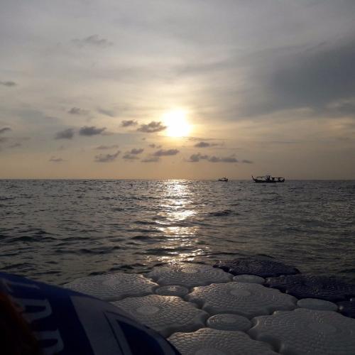 สมาชิกหมายเลข 5259713