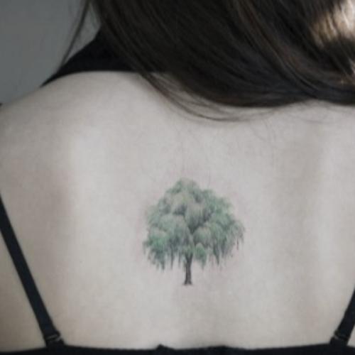 สมาชิกหมายเลข 5696271