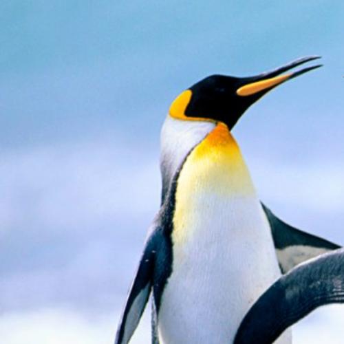 สมาชิกหมายเลข 3570323