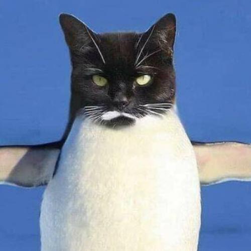 สมาชิกหมายเลข 5292262