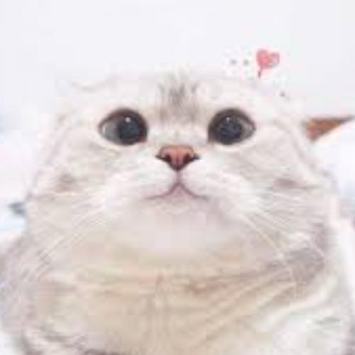 สมาชิกหมายเลข 6280797