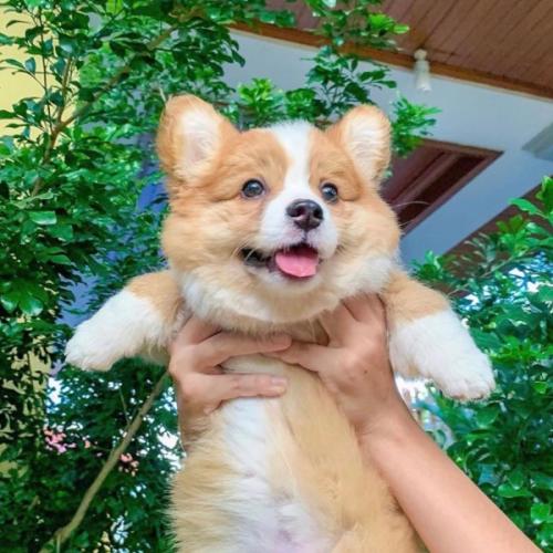 สมาชิกหมายเลข 6281383