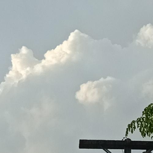 สมาชิกหมายเลข 6944388