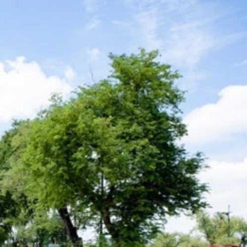 สมาชิกหมายเลข 1572656