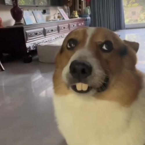 สมาชิกหมายเลข 3073671