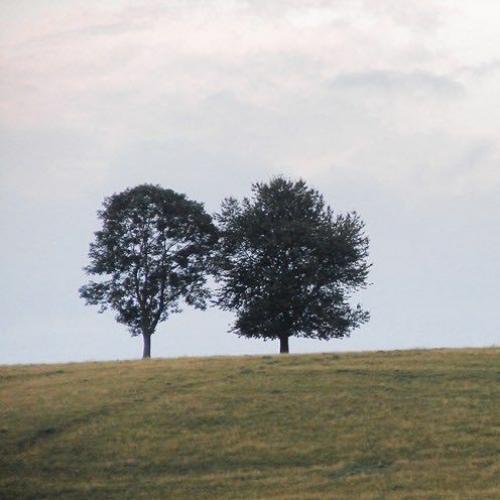 สมาชิกหมายเลข 4095276