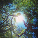 สมาชิกหมายเลข 4065833